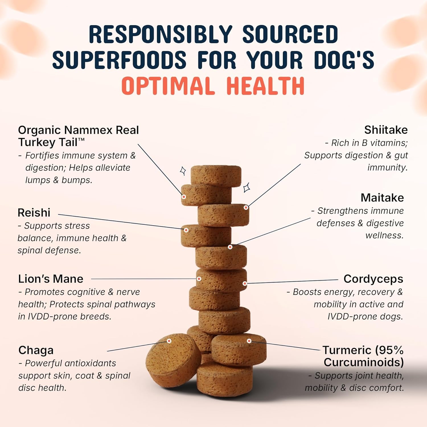 Turkey Tail Mushroom for Dogs with Organic Real Turkey Tail™ - 8:1 Extract Mushroom Chews for Lumps & Bumps, Immunity, Gut, Skin, Joint & Spine Support - Reishi, Lion’S Mane - 120 Soft Chews