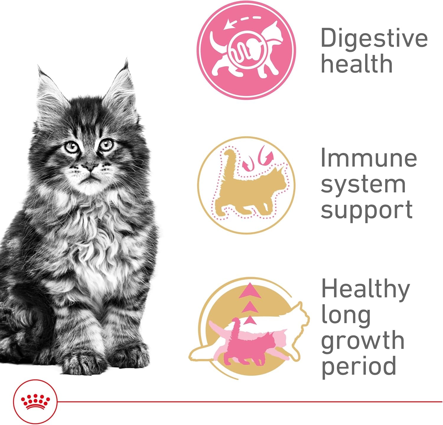 Maine Coon Breed Dry Kitten Food, 3 Lb Bag