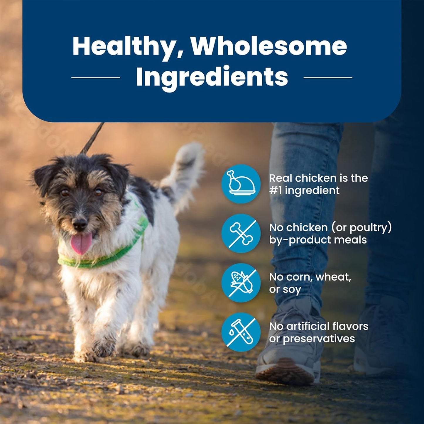 Life Protection Formula Adult Small Bite Dry Dog Food, Helps Build and Maintain Strong Muscles, Made with Natural Ingredients, Chicken & Brown Rice Recipe, 15-Lb. Bag