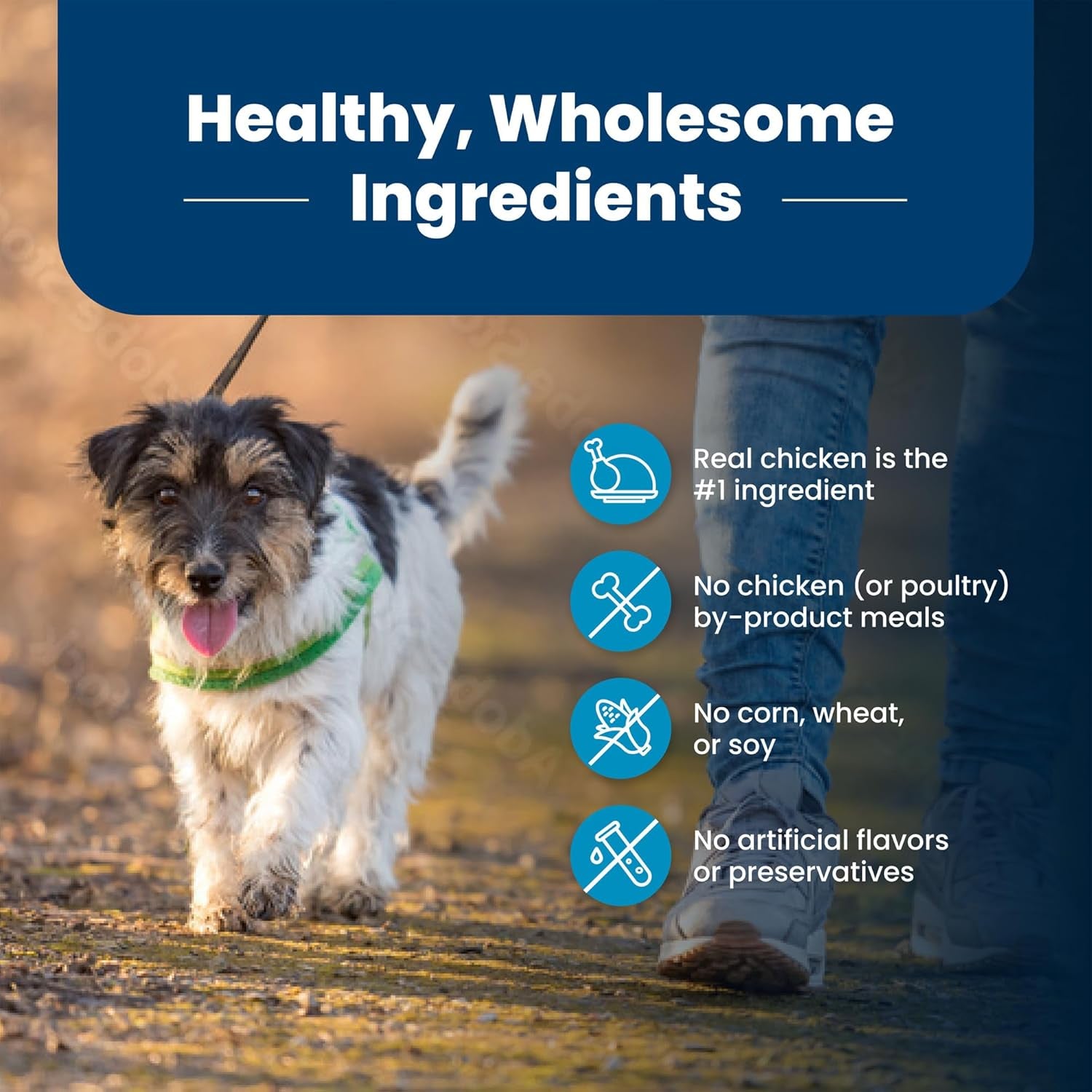 Life Protection Formula Adult Small Bite Dry Dog Food, Helps Build and Maintain Strong Muscles, Made with Natural Ingredients, Chicken & Brown Rice Recipe, 15-Lb. Bag