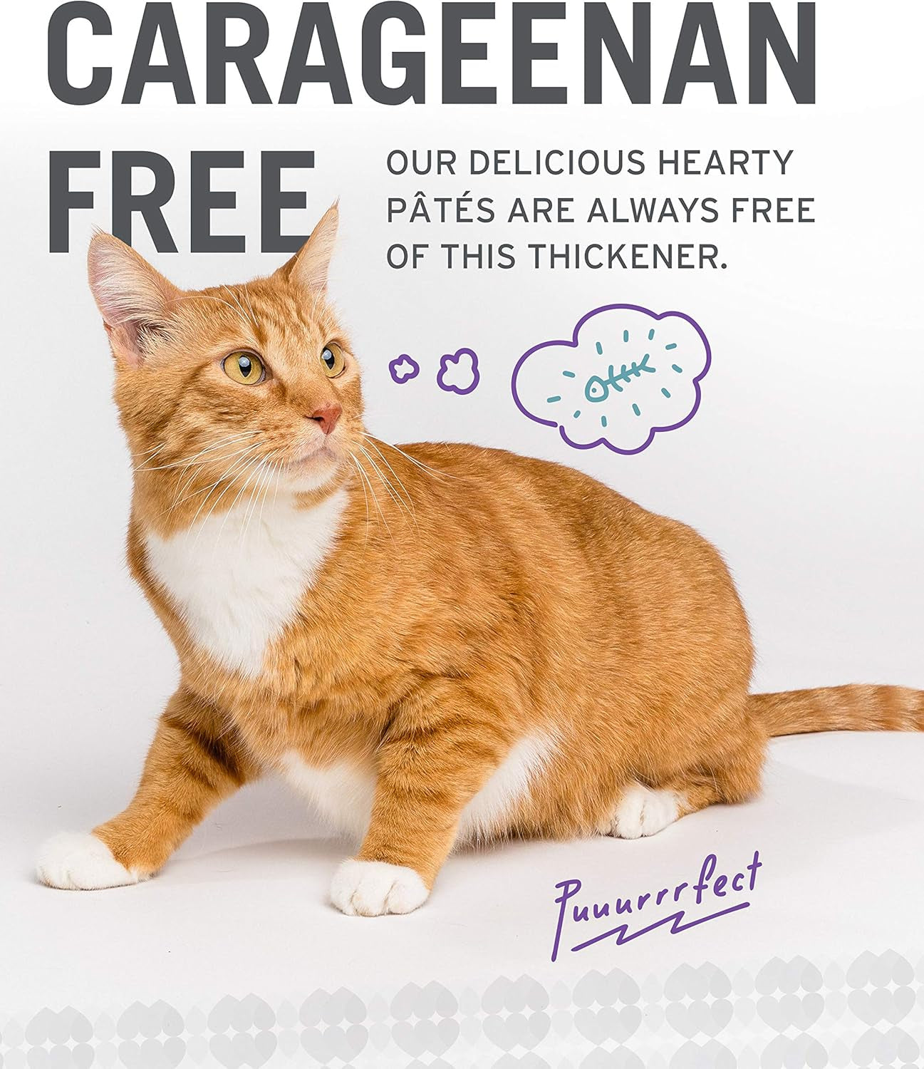 Wet Cat Food - Ninja Cat Jiu Jit Stew Variety Pack - Chicken, Salmon, Tuna, Grain Free, Filler Free, 3Oz Pack of 12 Cans