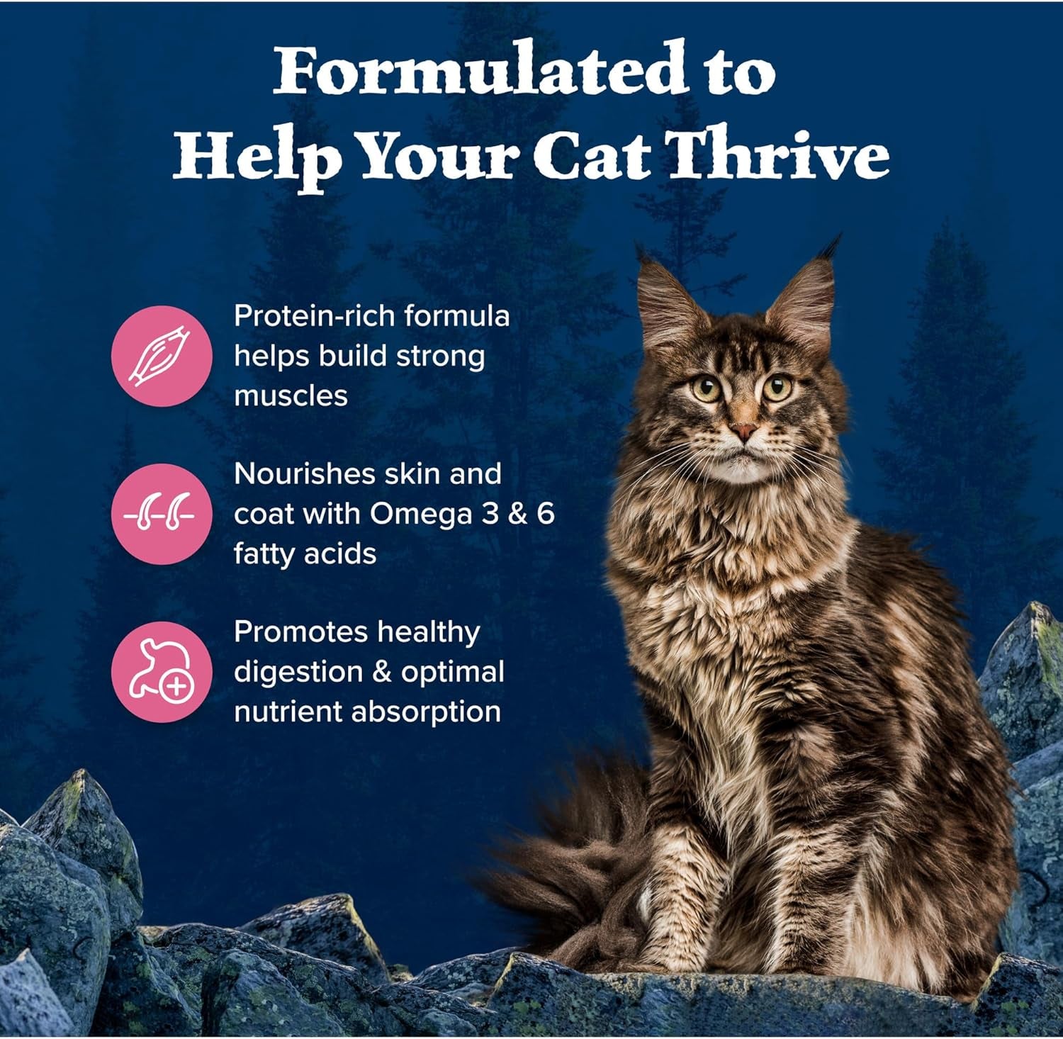 Blue Buffalo Wilderness Natural High Protein, Grain Free Dry Food for Adult Cats, Salmon, 11-Lb Bag