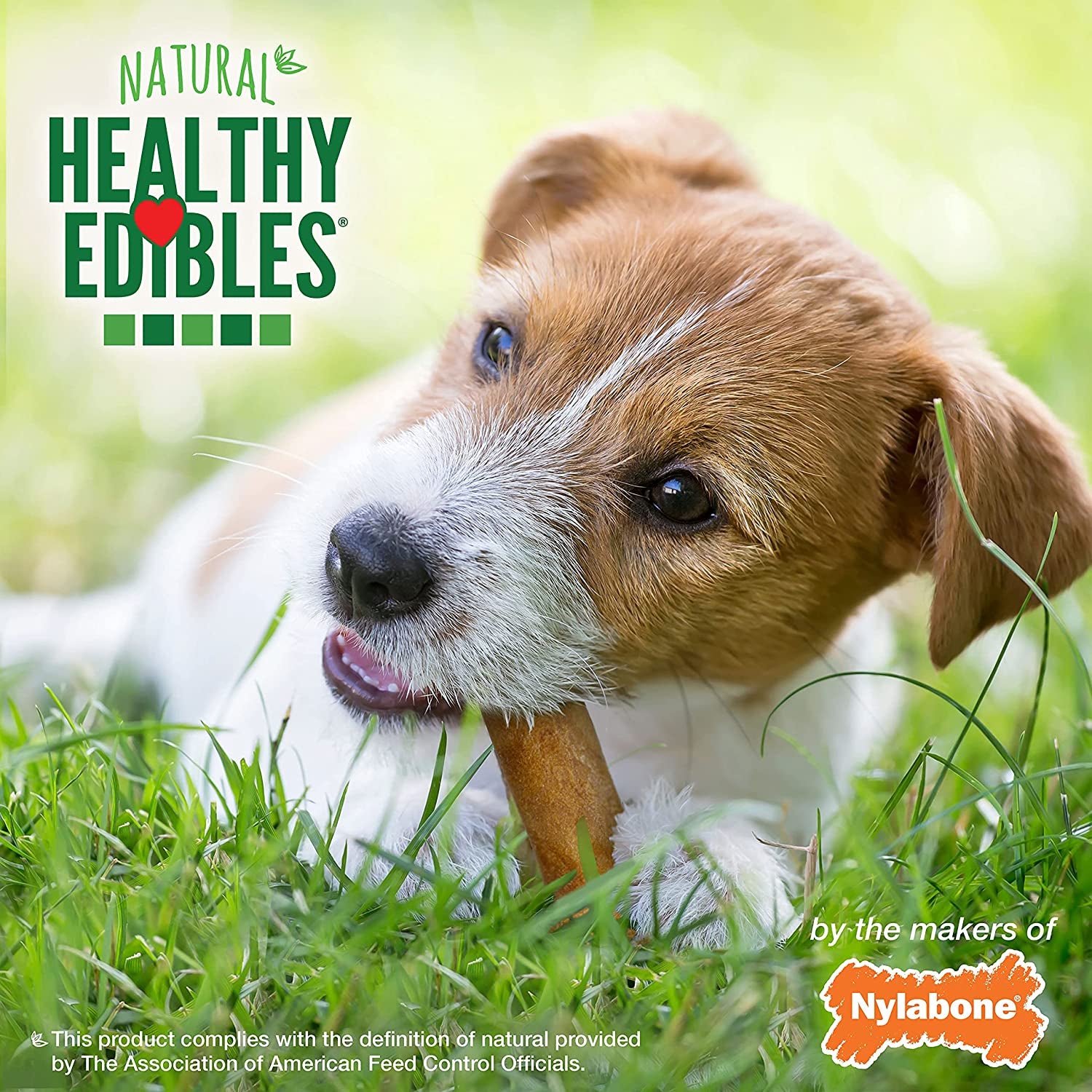 Healthy Edibles Natural Dog Chews Long Lasting Roast Beef, Chicken & Bacon Flavor Treats for Dogs, Small/Regular (3 Count)