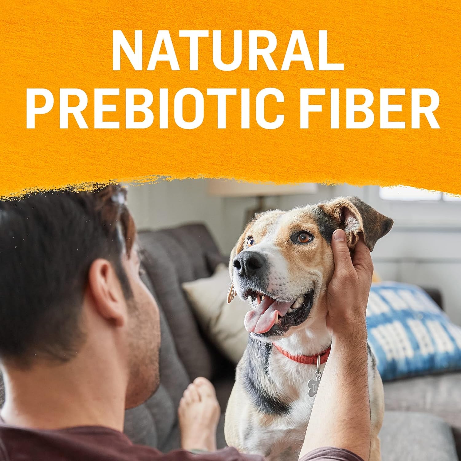 Chicken, Carrot and Pea Ground Grain Free Wet Dog Food Natural Pate with Added Vitamins and Minerals - (Pack of 12) 13 Oz. Cans