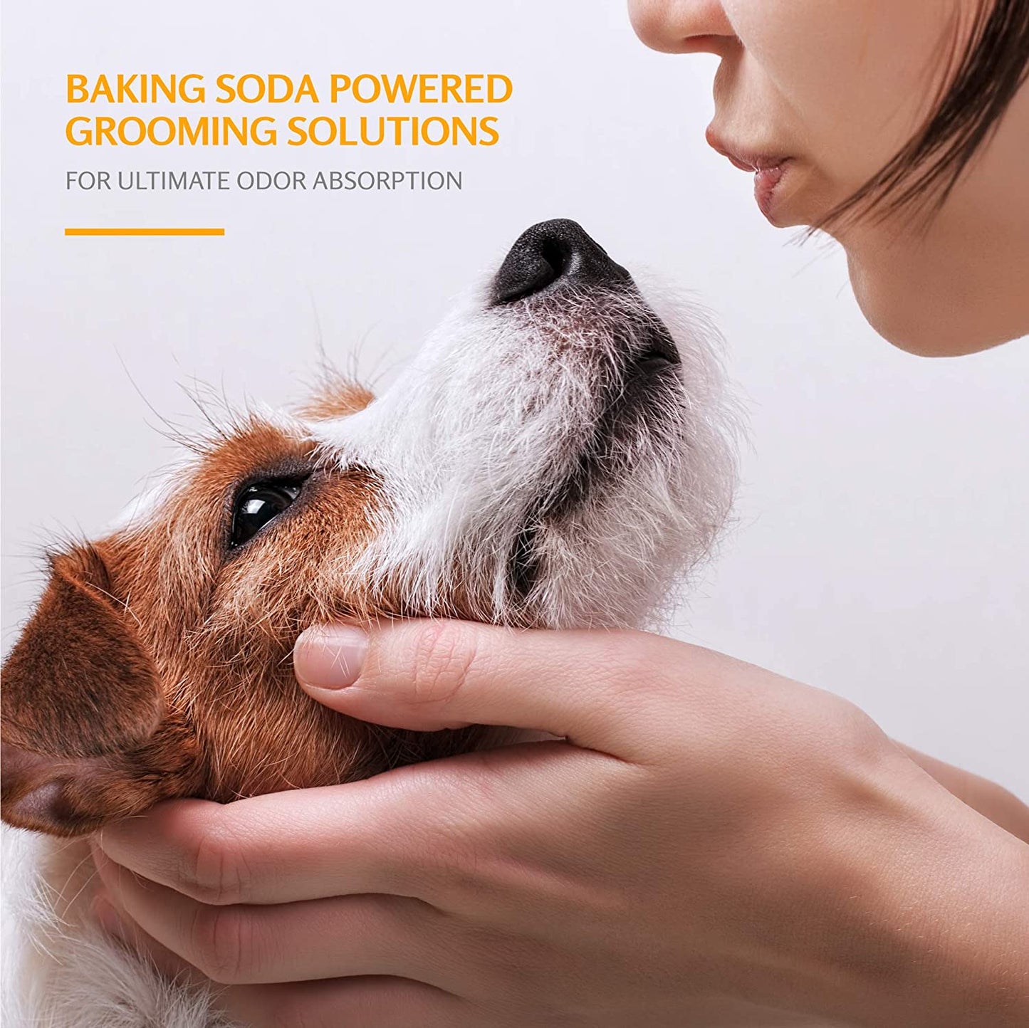 for Pets Tearless Puppy Shampoo | Gentle & Effective Tearless Shampoo for Puppies & All Dogs | Coconut Water Scent Your Dog Will Love, 20 Ounces - 1 Pack Puppy or Dog Shampoo