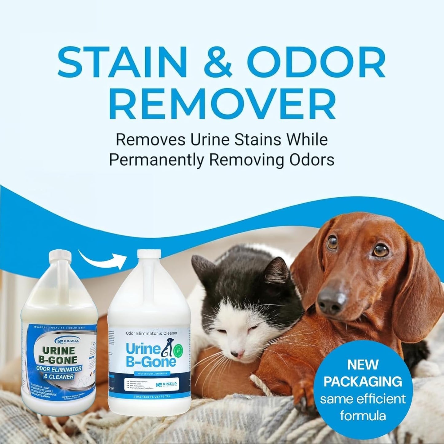 Urine B-Gone, Professional Enzyme Odor Eliminator & Pet Stain Remover, Human, Cat & Dog Urine Cleaner, Effective on Laundry, Carpets & More, Original Scent, 1 Gallon