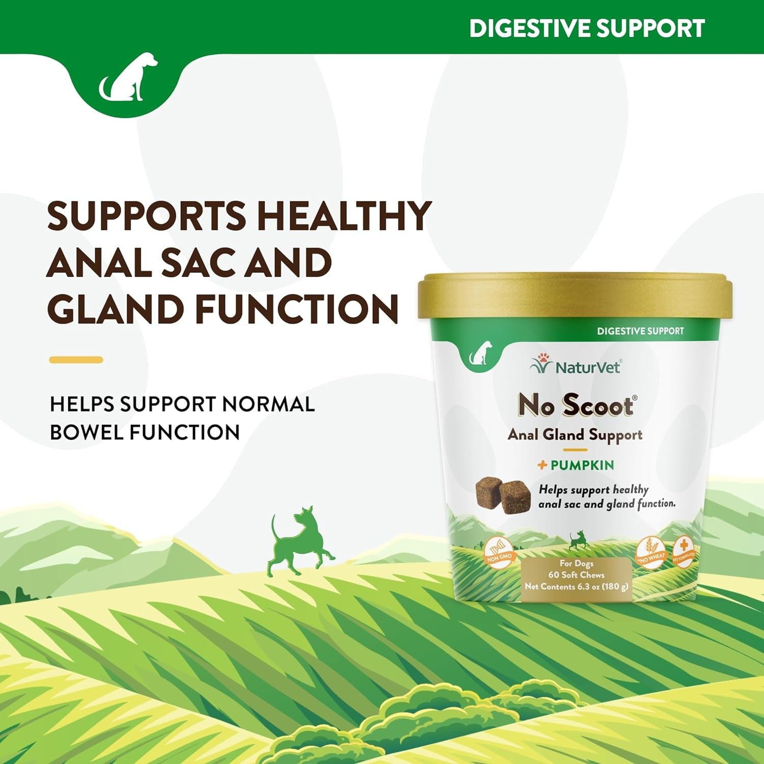 - No Scoot for Dogs - 60 Soft Chews - plus Pumpkin - Supports Healthy Anal Gland & Bowel Function - Enhanced with Beet Pulp & Psyllium Husk