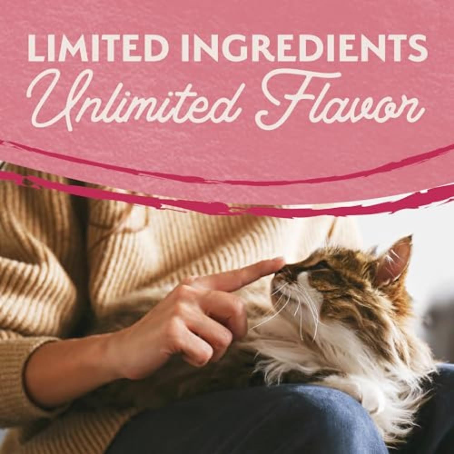 Limited Ingredient Adult Grain-Free Dry Cat Food, Salmon & Green Pea Recipe, 10 Pound (Pack of 1)