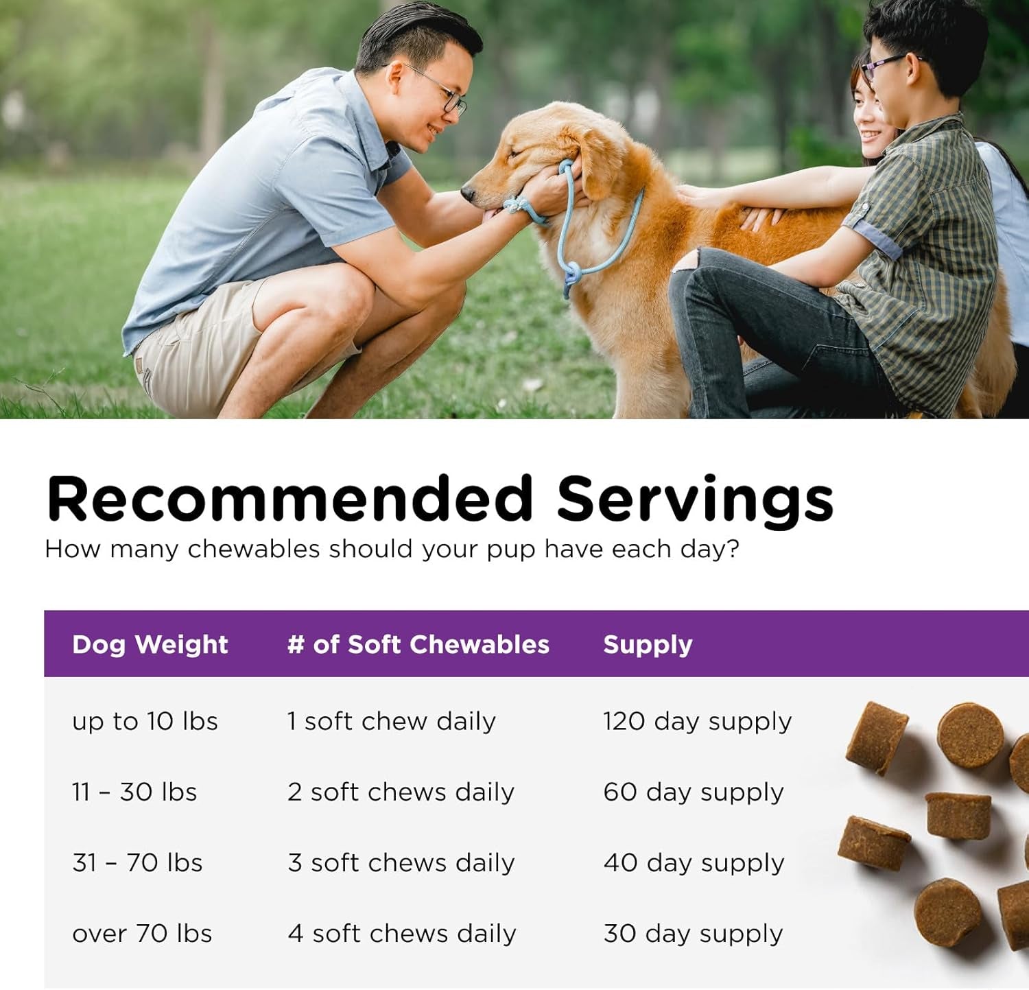 Pre & Probiotics for Dogs, Digestive Support, Upset Stomach, Puppy Probiotic, Pet Vitamins and Supplements, Dog Probiotics, Liver & Cheese Flavor, 120 Soft Chews