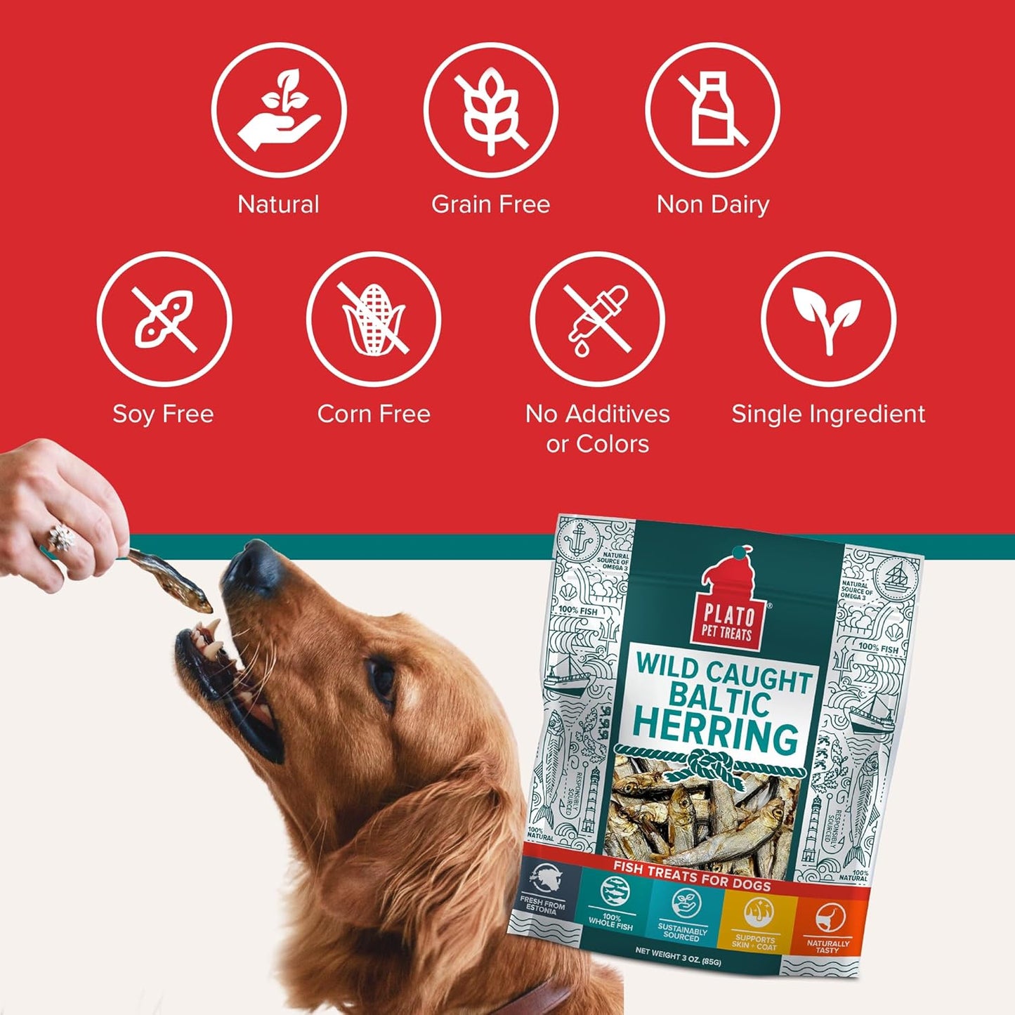 Pet Treats Fish Dog Treats - Air-Dried, Single Ingredient Dog Treat - with Omega 3 & 6 Fatty Acids to Support Skin and Coat - 100% Whole Fish - Wild Caught Baltic Herring Dog Treats - 8.5 Oz