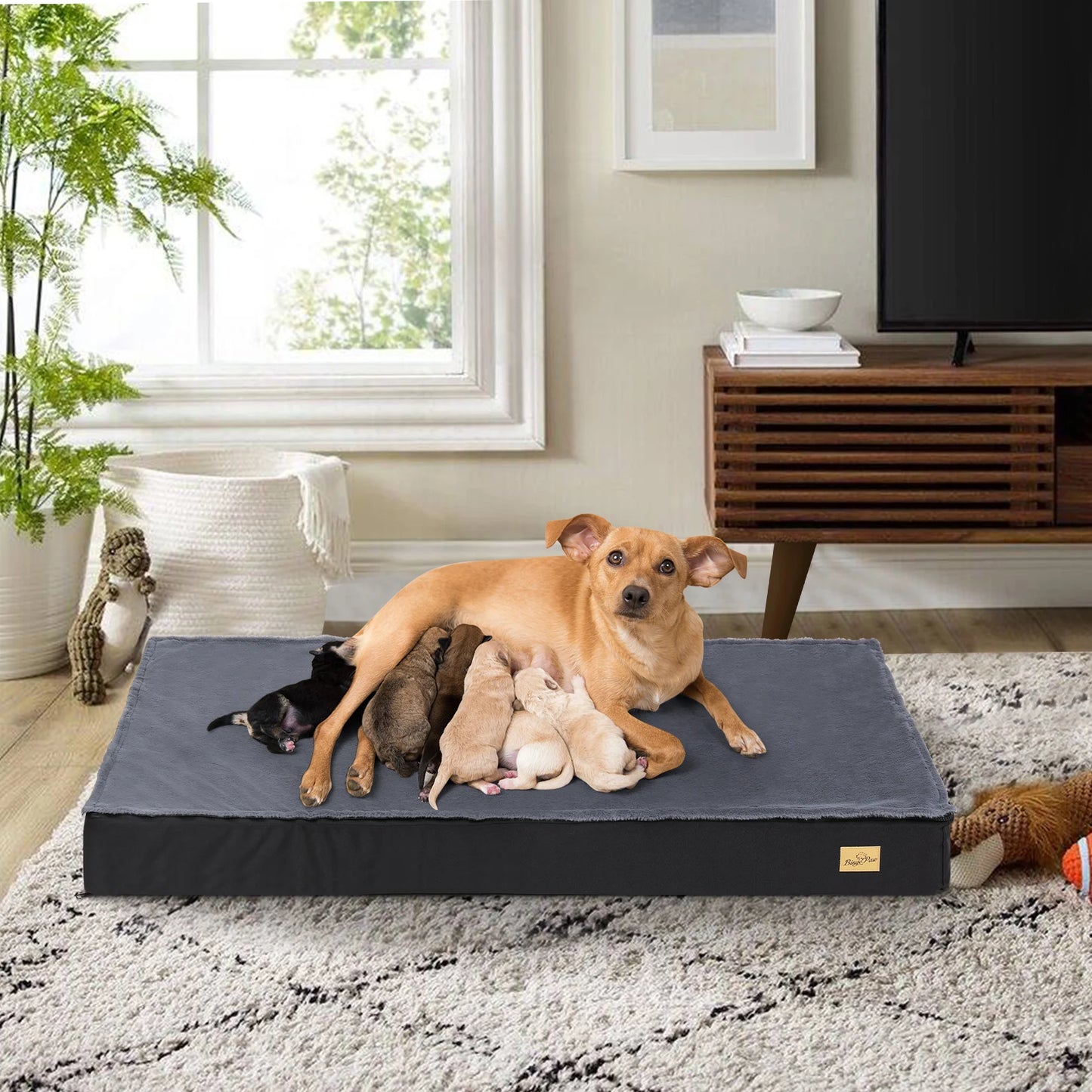 Washable Orthopedic Dog Bed for Large Dogs - Comfortable Foam Cushion for Crates & Kennels