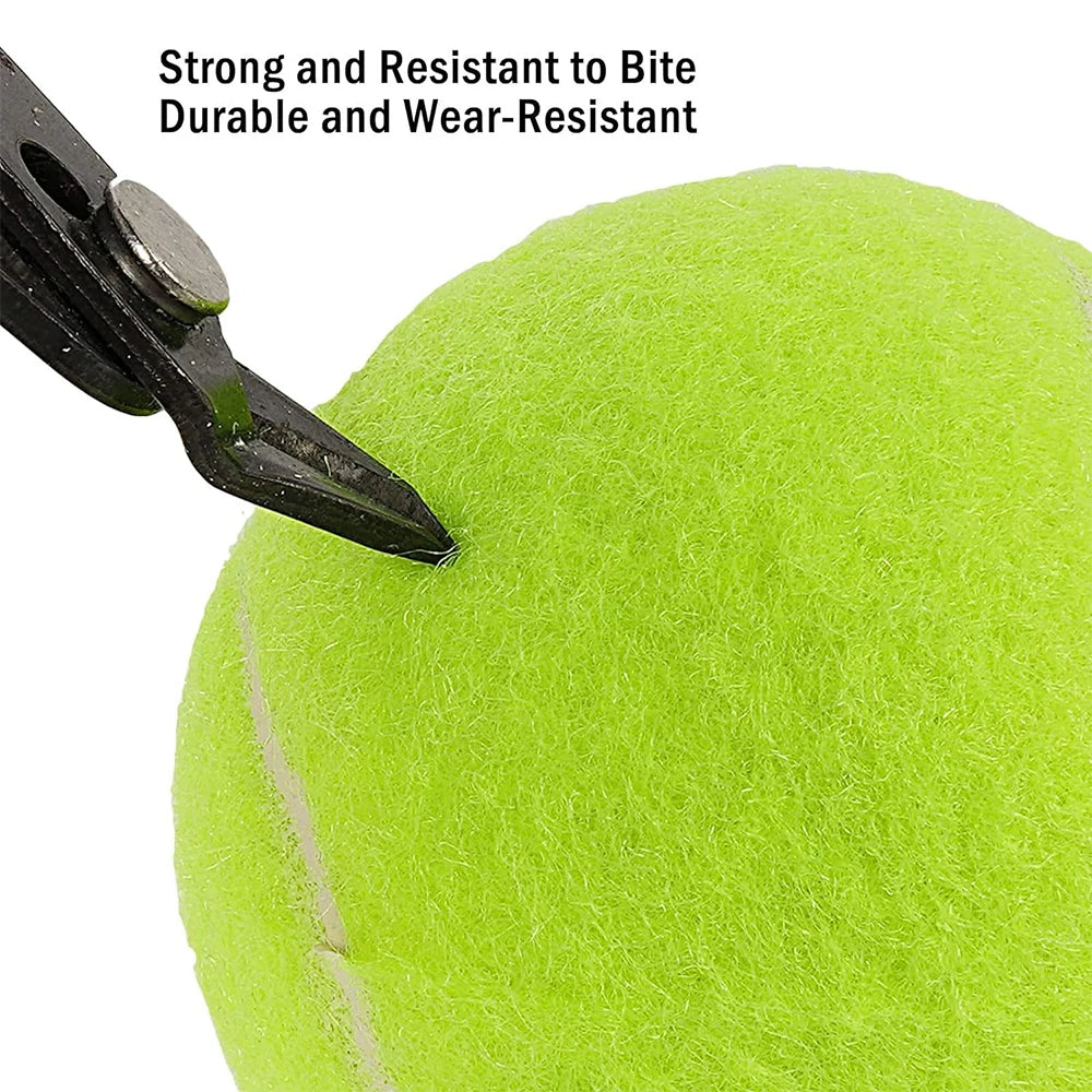 Pack Mini Tennis Balls for Launchers