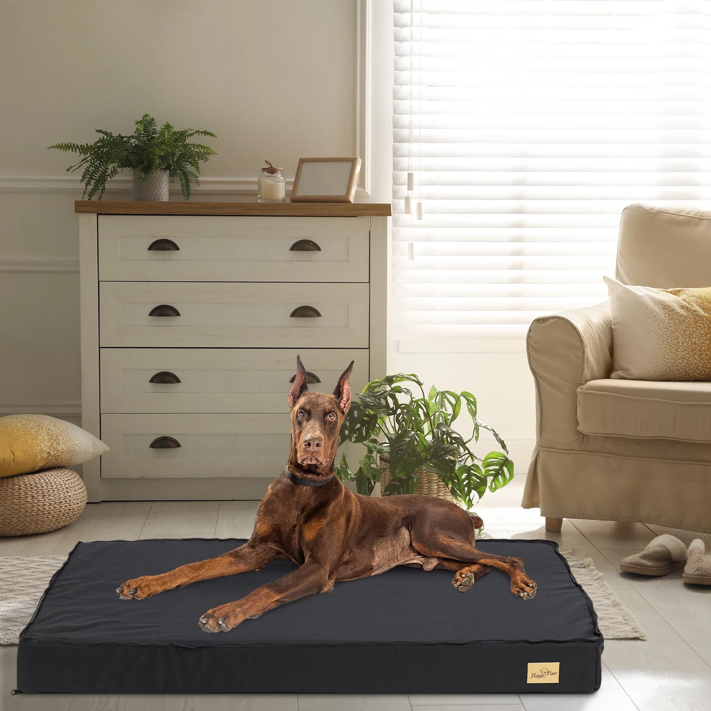 Washable Orthopedic Dog Bed for Large Dogs - Comfortable Foam Cushion for Crates & Kennels