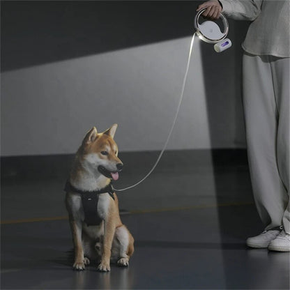 Dog Leash with Flash Light and Garbage - vippet.org