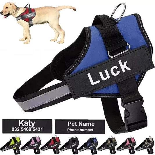 Personalized harness for dog - vippet.org