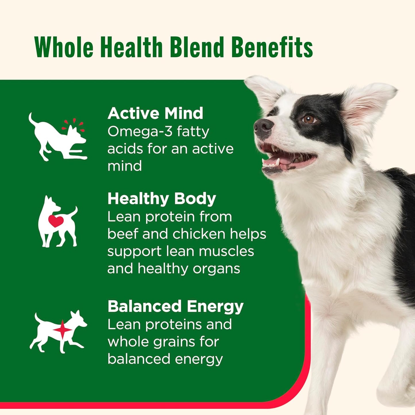 Whole Health Blend Chunks in Gravy Variety Pack Wet Dog Food, 13 Oz. Can, 12 Count (Rachael Ray)