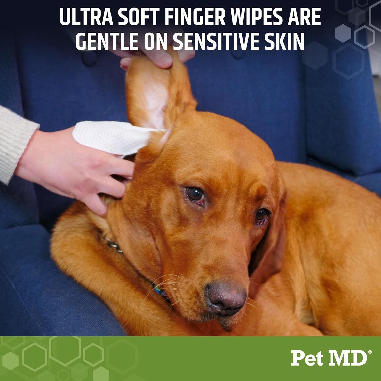 Ear Finger Wipes for Dogs - Extra-Coverage and Large Design - with Eucalyptus and Aloe Vera for Dogs - Pet Ear Cleaning Finger Wipes & Puppy Ear Cleaner - 50Ct