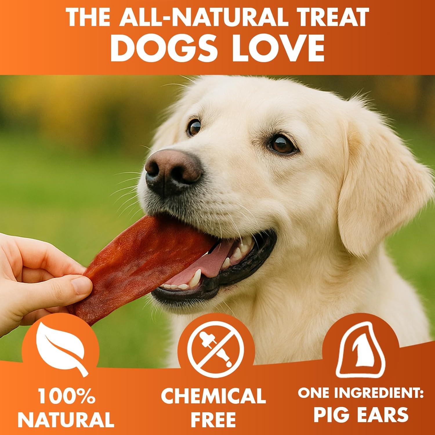 Whole Pig Ears for Dogs, 12 Ct. – All-Natural Single Ingredient Dog Chews, Slow Cooked & Fully Digestible Rawhide Alternative