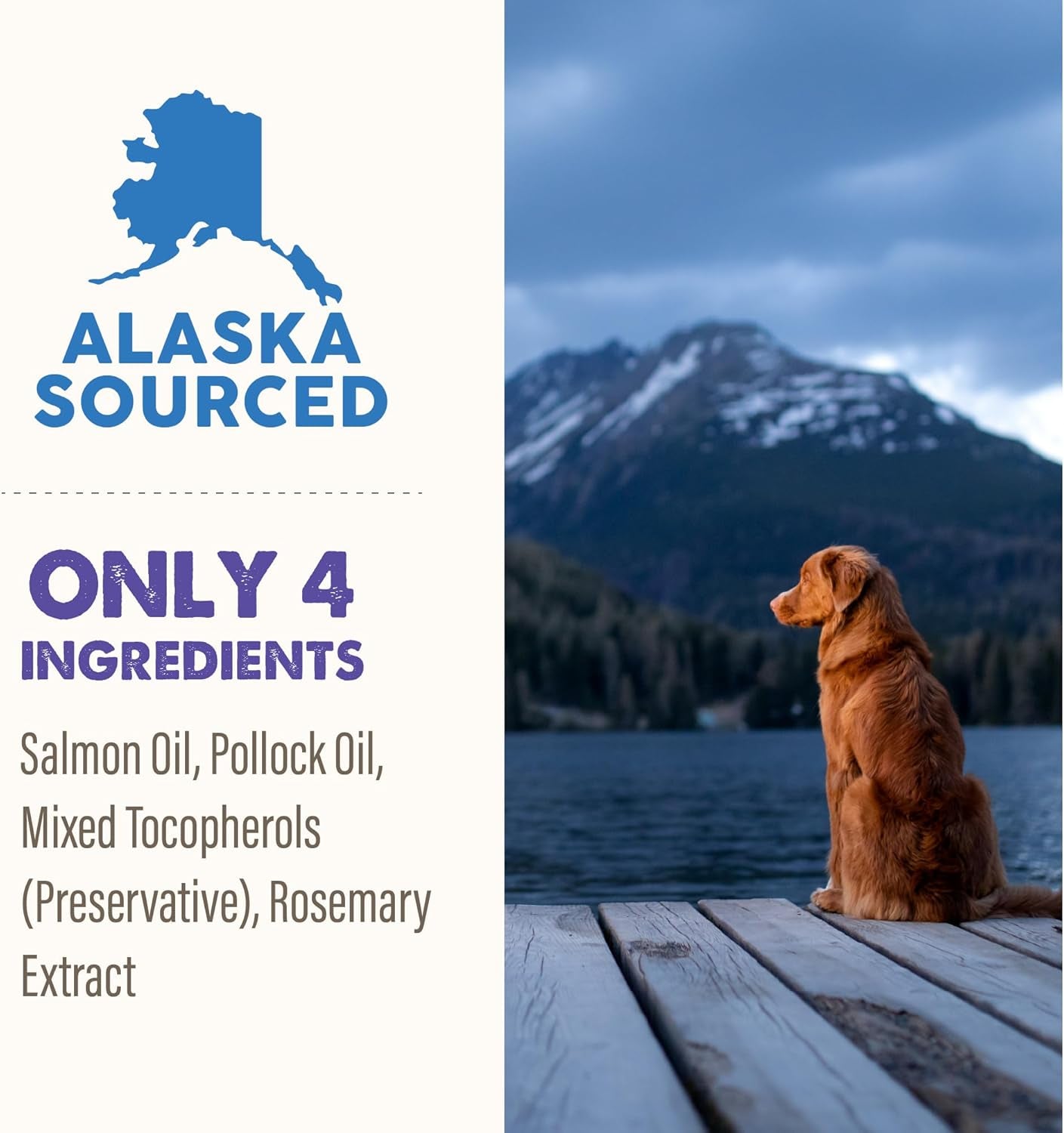 Omega Health Liquid Omega-3 Supplement for Dogs and Cats, 32 Ounce Bottle