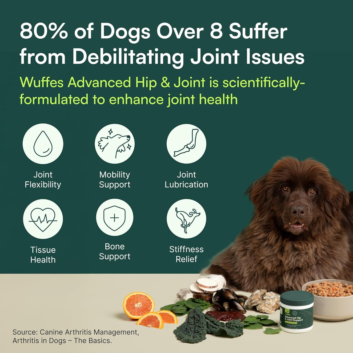 Chewable Dog Hip & Joint Supplement - Glucosamine & Chondroitin Chews - Dog Joint Supplements & Vitamins - Extended Joint Care (Large Breed (Over 65 Lbs), 60 Chews (Pack of 2))