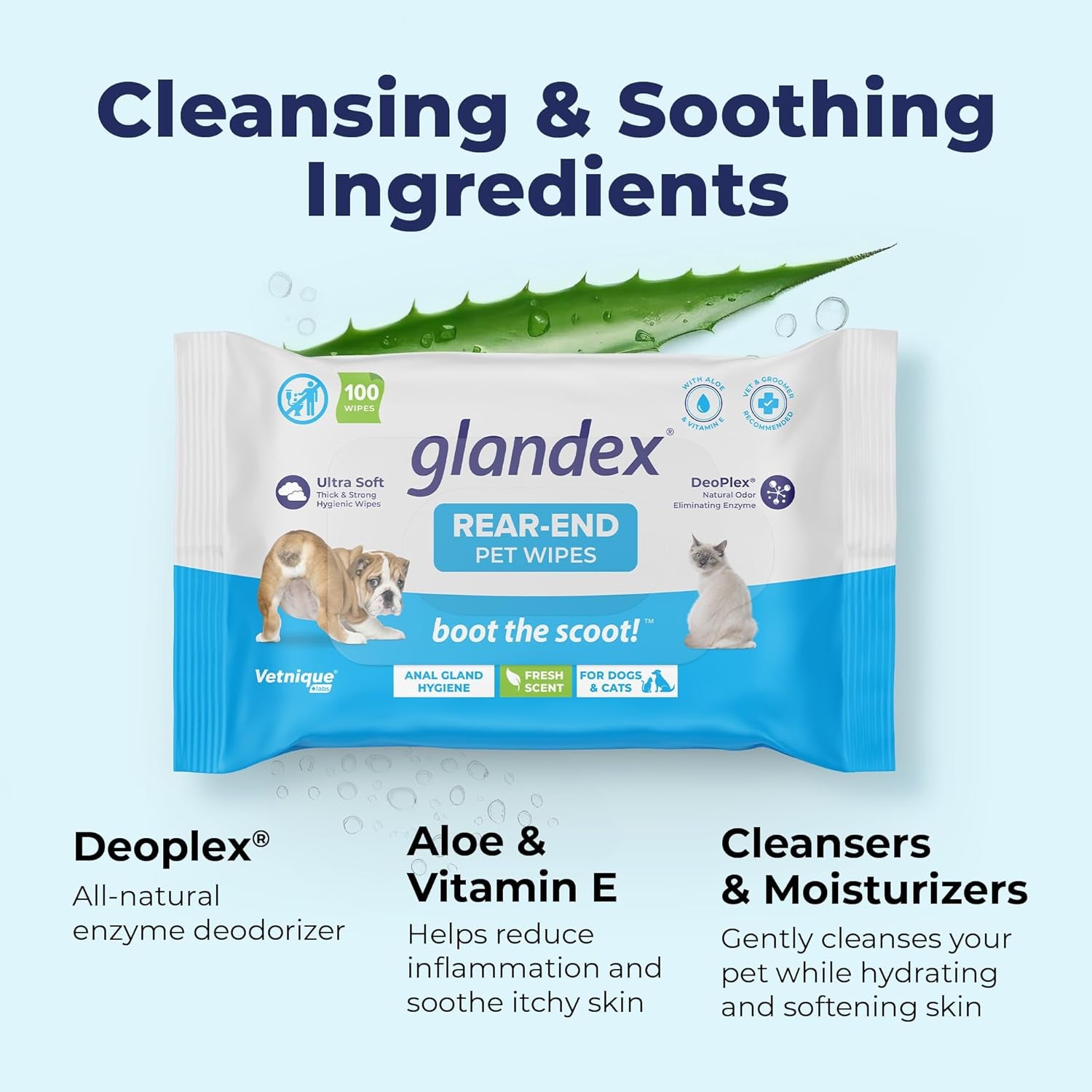 Labs Glandex Dog Wipes for Pets Cleansing & Deodorizing Anal Gland Hygienic Dog & Cat Wipes with Vitamin E, Skin Conditioners and Aloe (100Ct Pouch)