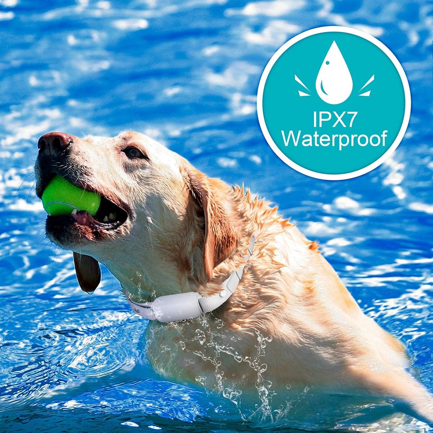 Shock Collar for Dogs - Waterproof Rechargeable Dog Electric Training Collar with Remote for Small Medium Large Dogs with Beep, Vibration, Safe Shock Modes (8-120 Lbs) (Grey)