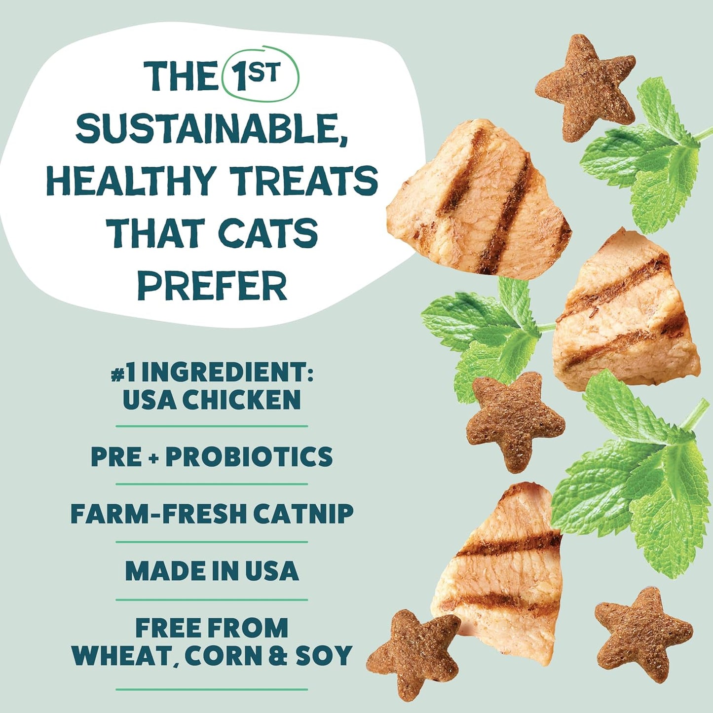 Digestive Health Catnip Chicken Crunchy Cat Treats