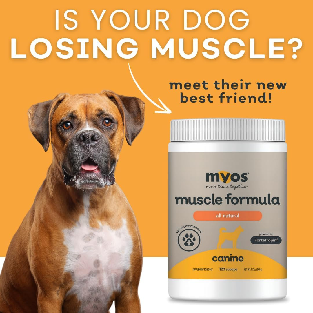 - All-Natural Muscle Building Supplement - Helps Reduce Muscle Loss in Dogs Due to Normal Aging and Improves Recovery from Injury or Surgery