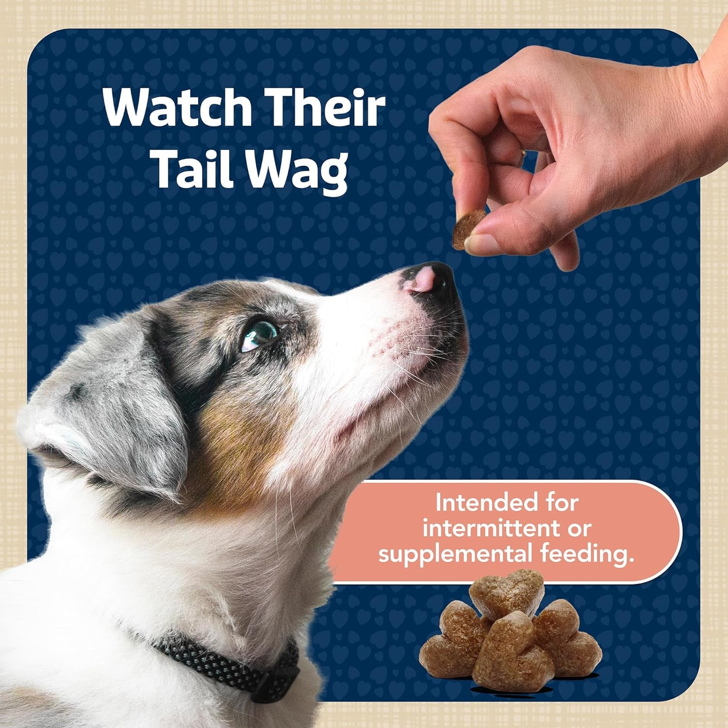 Bits Soft Dog Treats for Training, Made with Natural Ingredients & Enhanced with DHA, Salmon Recipe, 4-Oz Bag