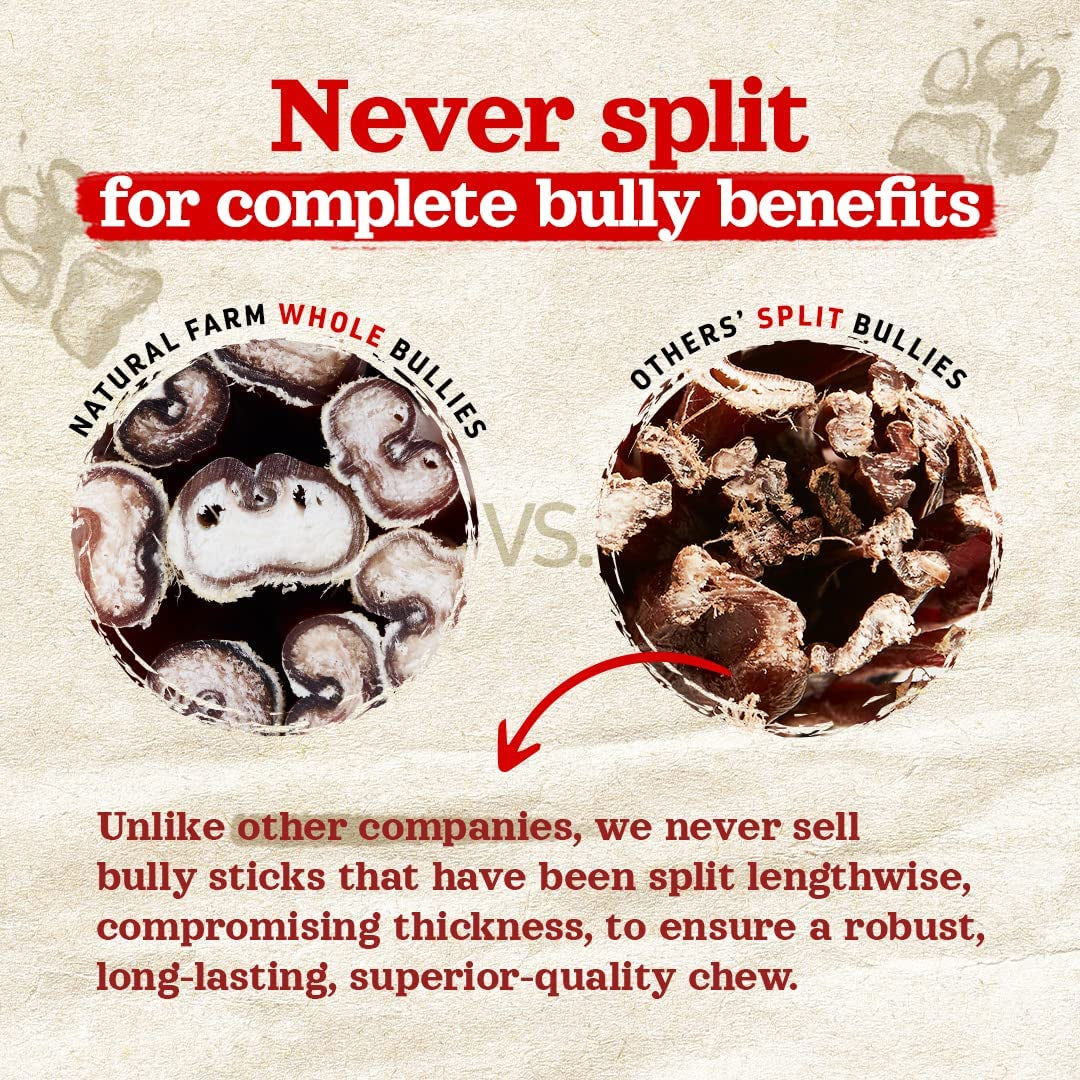 Odor-Free Bully Sticks (6 Inch, 15 Count), Single Ingredient: 100% Beef Chews, Grass-Fed, Non-Gmo, Grain-Free, Fully Digestible Treats for Puppies, Small or Senior Dog