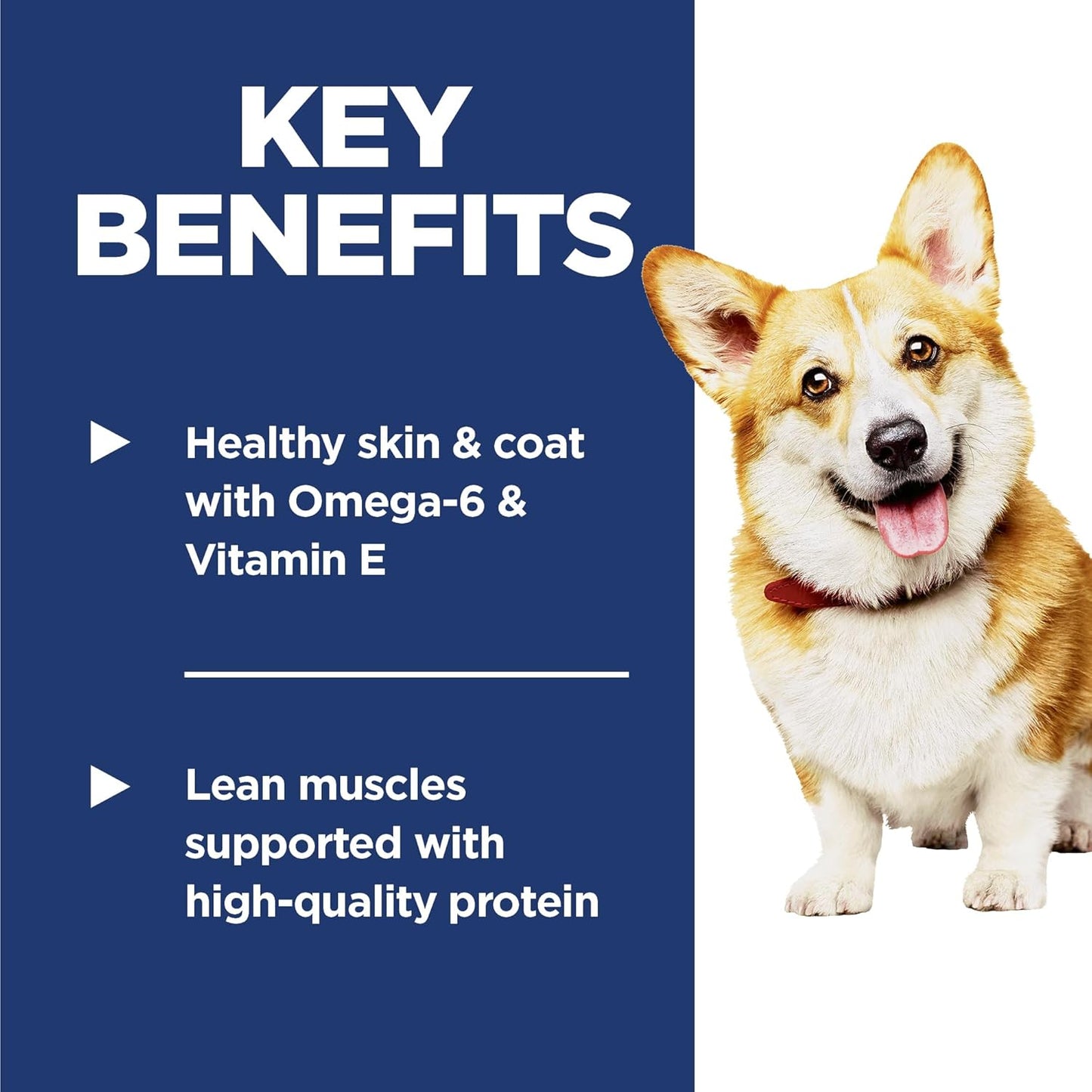 Adult 1-6, Adult 1-6 Premium Nutrition, Small Kibble, Dry Dog Food, Lamb & Brown Rice, 4.5 Lb Bag