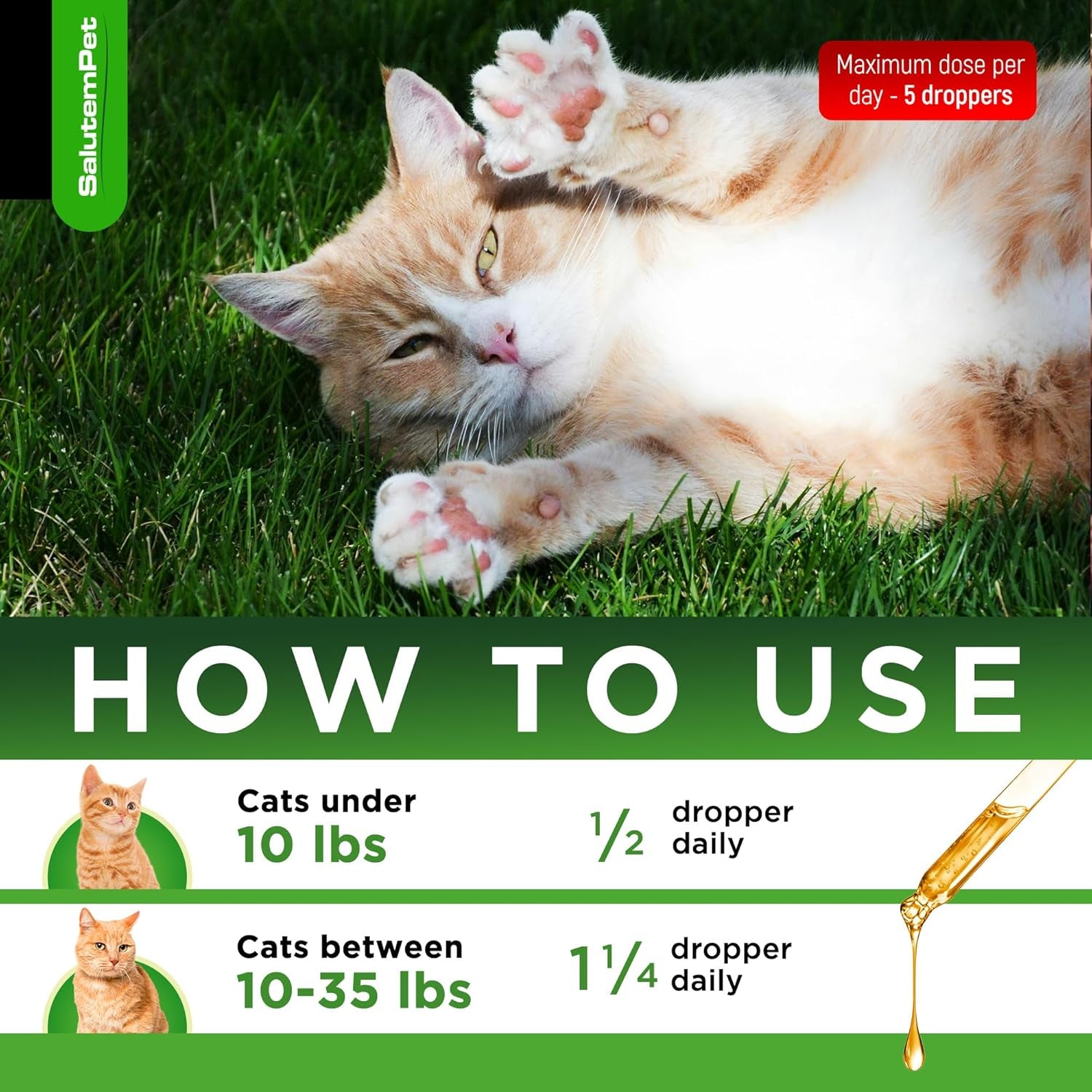 Cat Antibiotic for Infections, Utis, Respiratory Moments, Cold, & Allergies | Antibiotics for Cats of All Ages & Breeds | Liquid Form | Natural Supplement with Chicken Flavor | 2 Oz