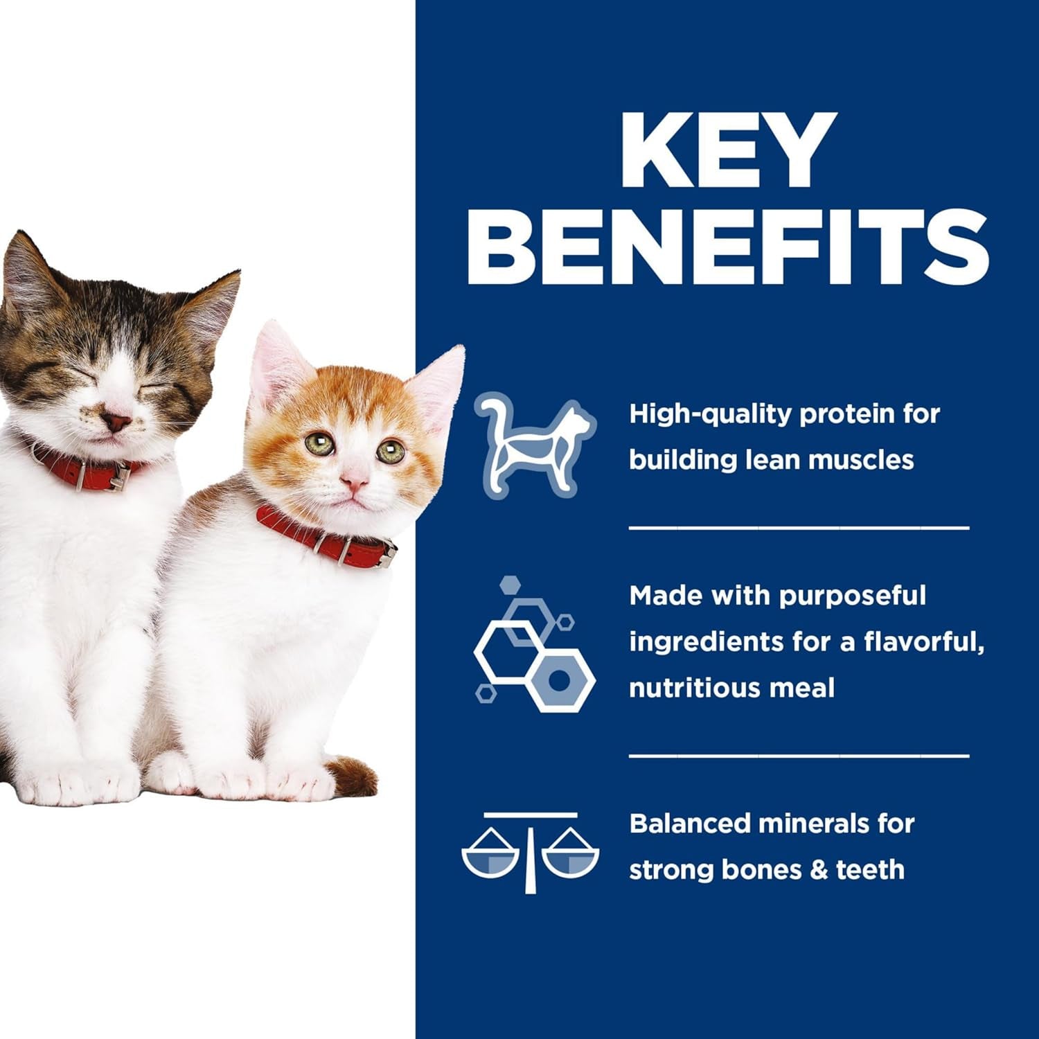 Kitten, Kitten Premium Nutrition, Wet Cat Food, Variety Pack: Liver & Chicken; Salmon Minced, 2.9 Oz Can Variety Pack, Case of 12