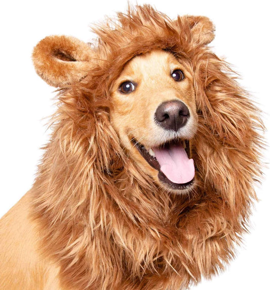 Lion Mane for Dog -Lion Mane Dog Costume by