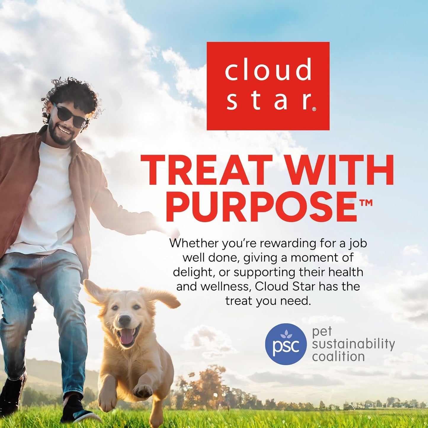 Jerky Hip and Joint Dog Treats Grain Free Made in USA Only, Glucosamine and Chondroitin, 24 Oz Chicken