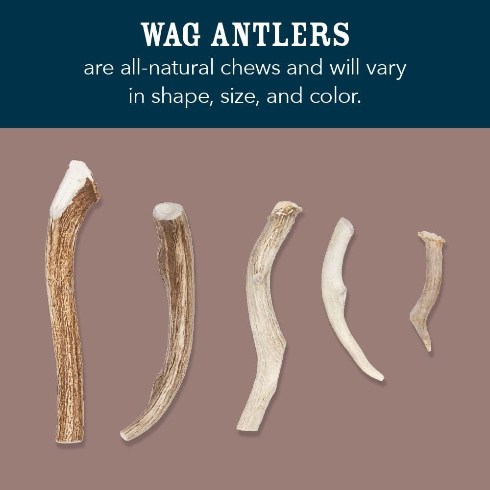 Amazon Brand -  Split Elk Antler, Naturally Shed, Long Lasting for Aggressive Chewers, Medium (Best for Dogs 15-30 Lbs)