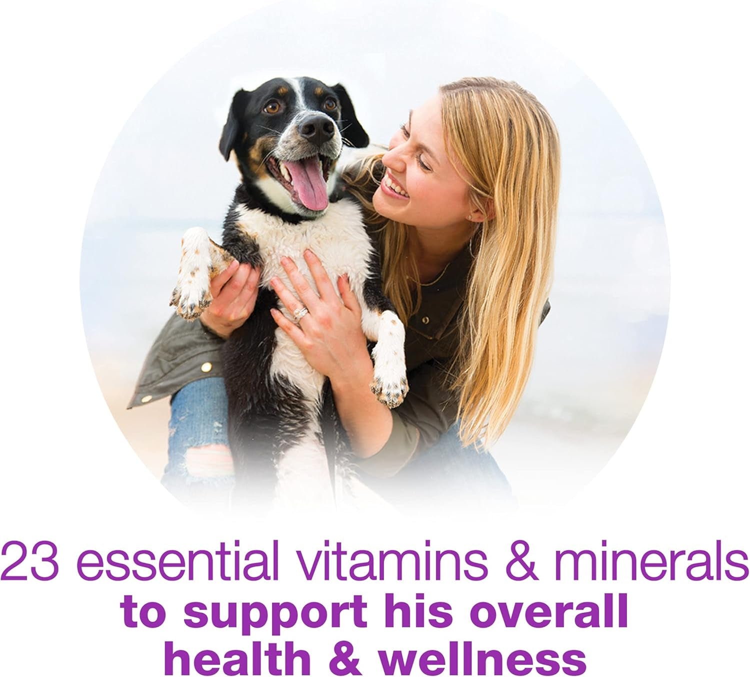 Purina  Wet Dog Food Variety Pack, Chopped Blends - (12) 10 Oz. Tubs