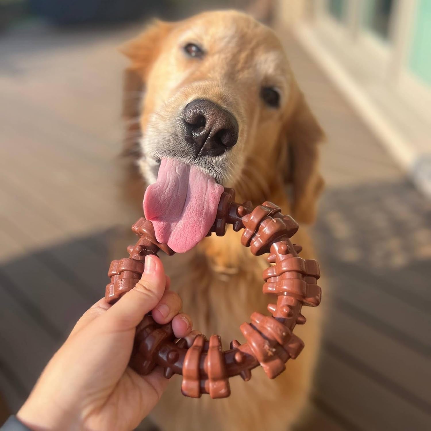 Textured Ring Power Chew Toy for Large Dogs, Durable Dog Toys for Aggressive Chewers, Strong Dog Chew Bones to Keep Them Busy, Flavor Medley, X-Large - 50+ Lbs, 1 Count