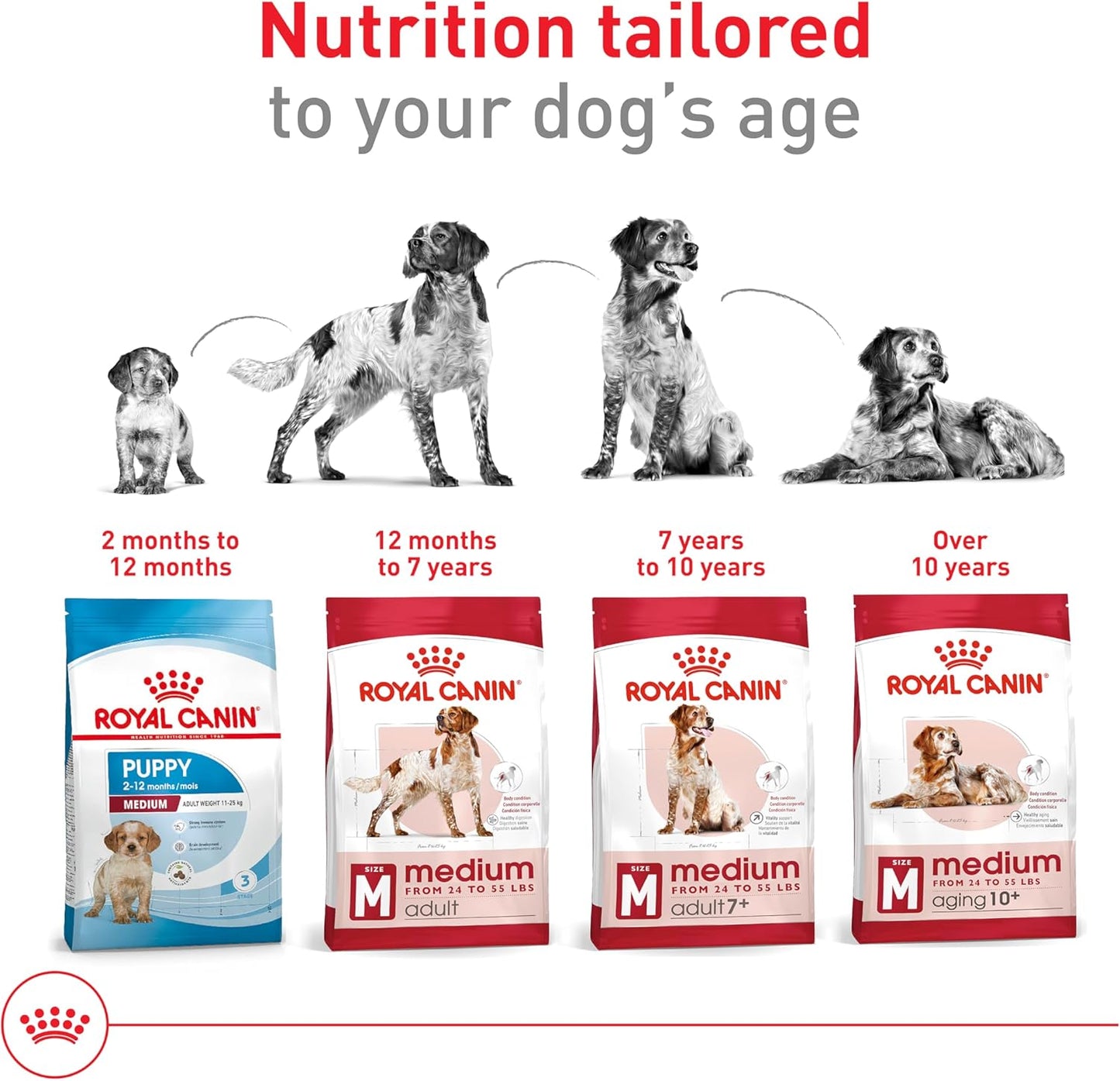 Size Health Nutrition Medium Adult Dry Dog Food, 17 Lb Bag