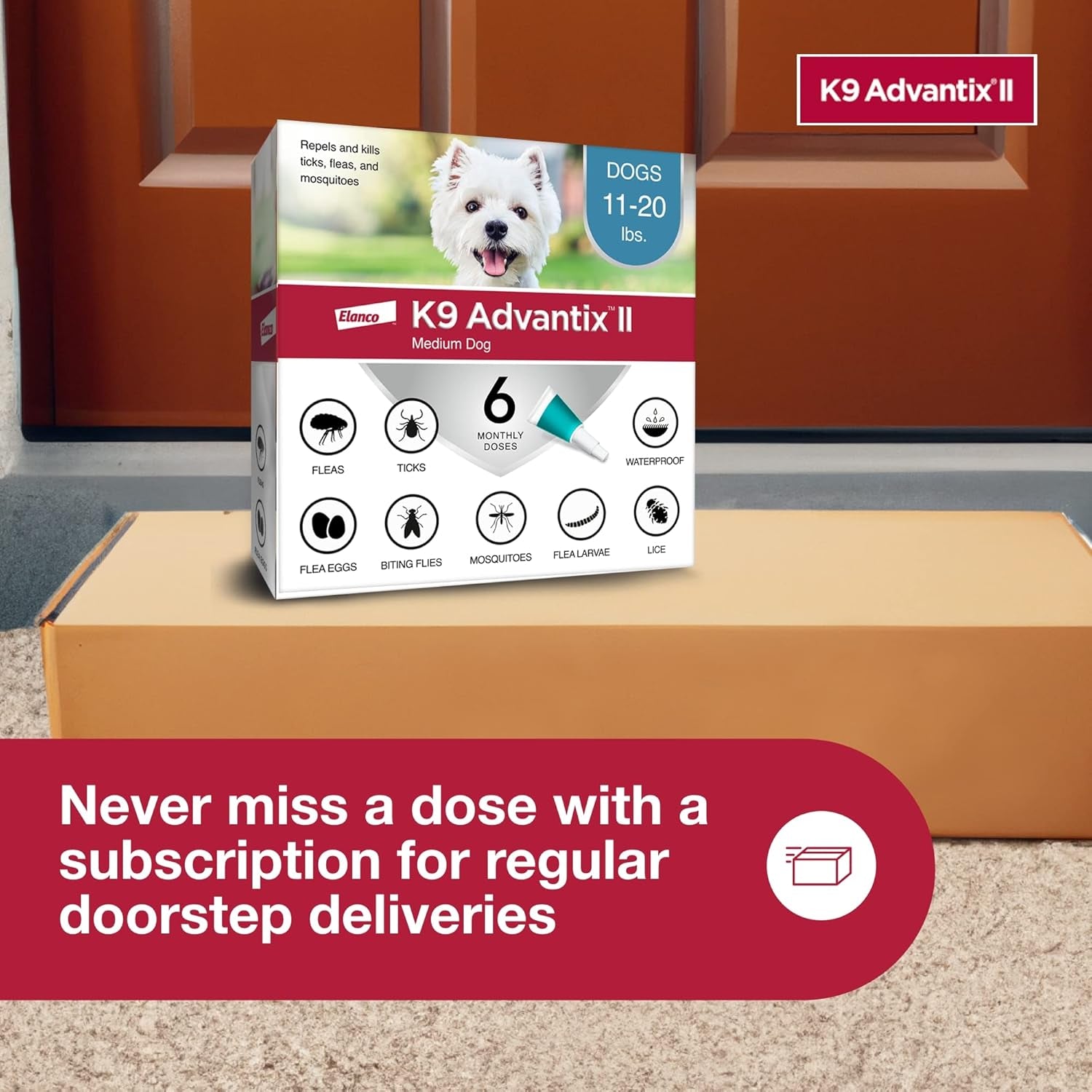 II Medium Dog Vet-Recommended Flea, Tick & Mosquito Treatment & Prevention | Dogs 11-20 Lbs. | 6-Mo Supply