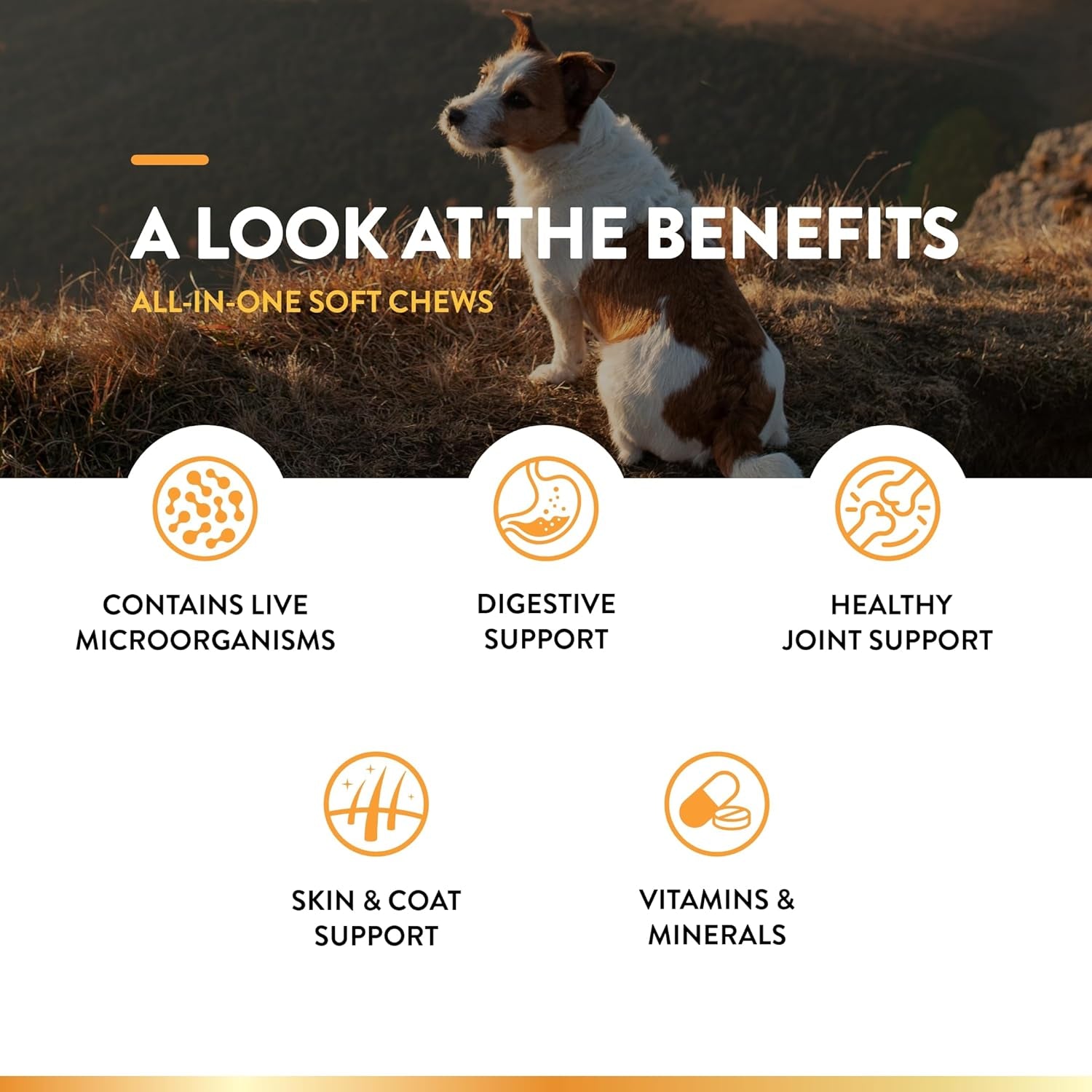 All-In-One Dog Supplement - for Joint Support, Digestion, Skin, Coat Care – Dog Multivitamins with Minerals, Omega-3, 6, 9 – Wheat-Free Vitamins for Dogs – 240 Soft Chews