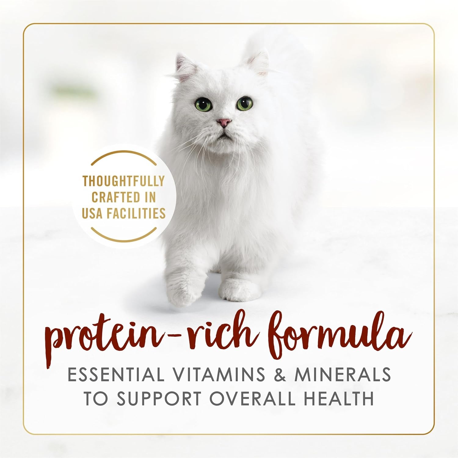 Purina  Tender Beef Feast Classic Grain Free Wet Cat Food Pate - (Pack of 24) 3 Oz. Cans