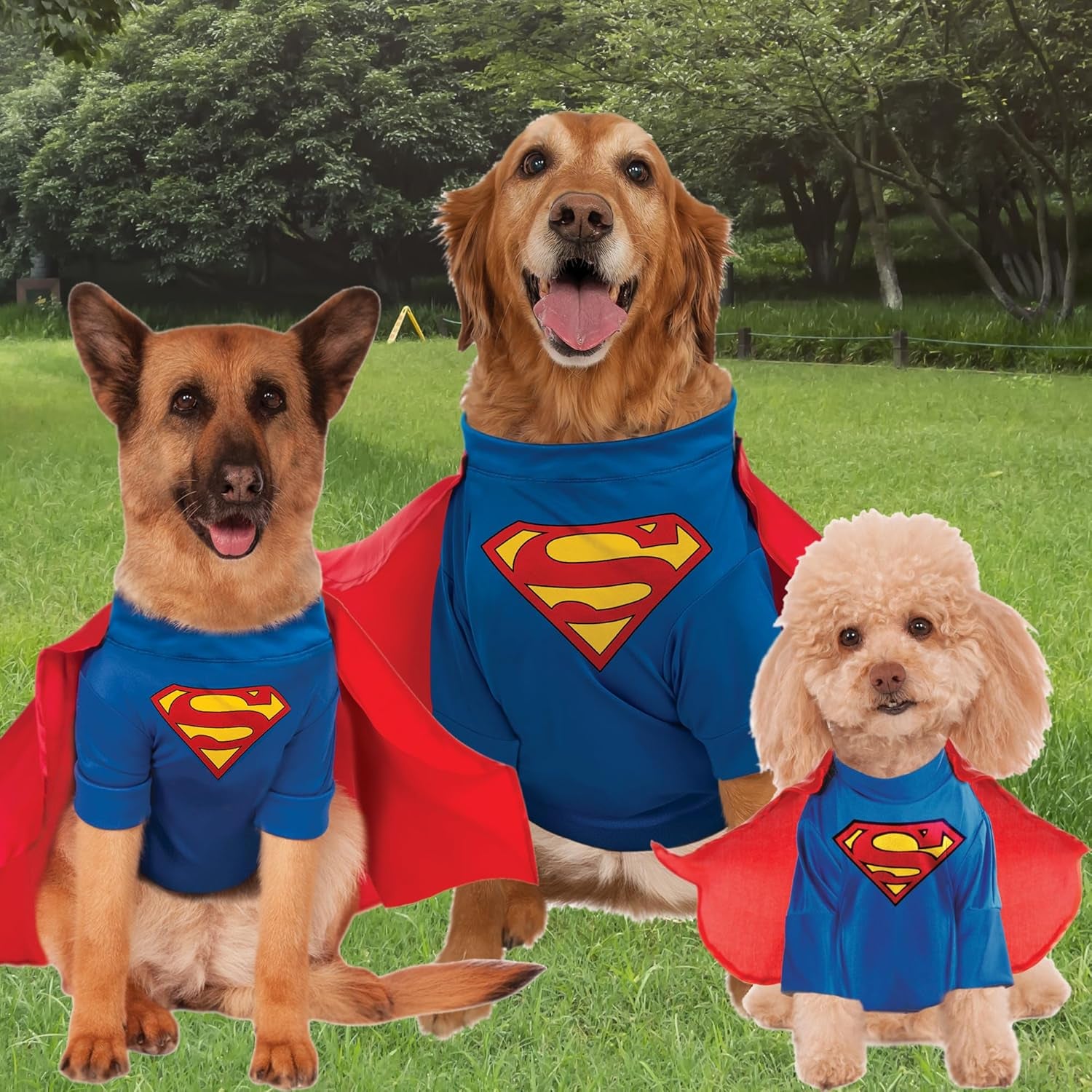 DC Comics Superheroes: Superman Pet Costume for for Dogs or Cats by , XXXL