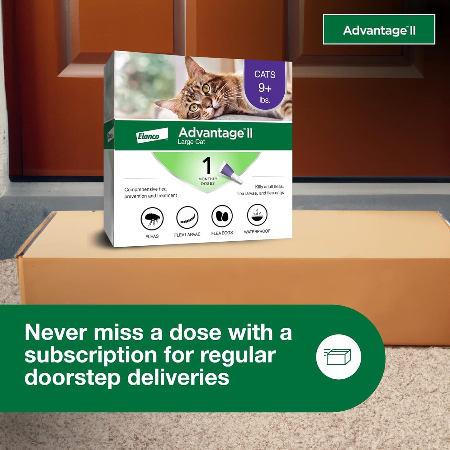 II Large Cat Vet-Recommended Flea Treatment & Prevention | Cats over 9 Lbs. | 1-Month Supply