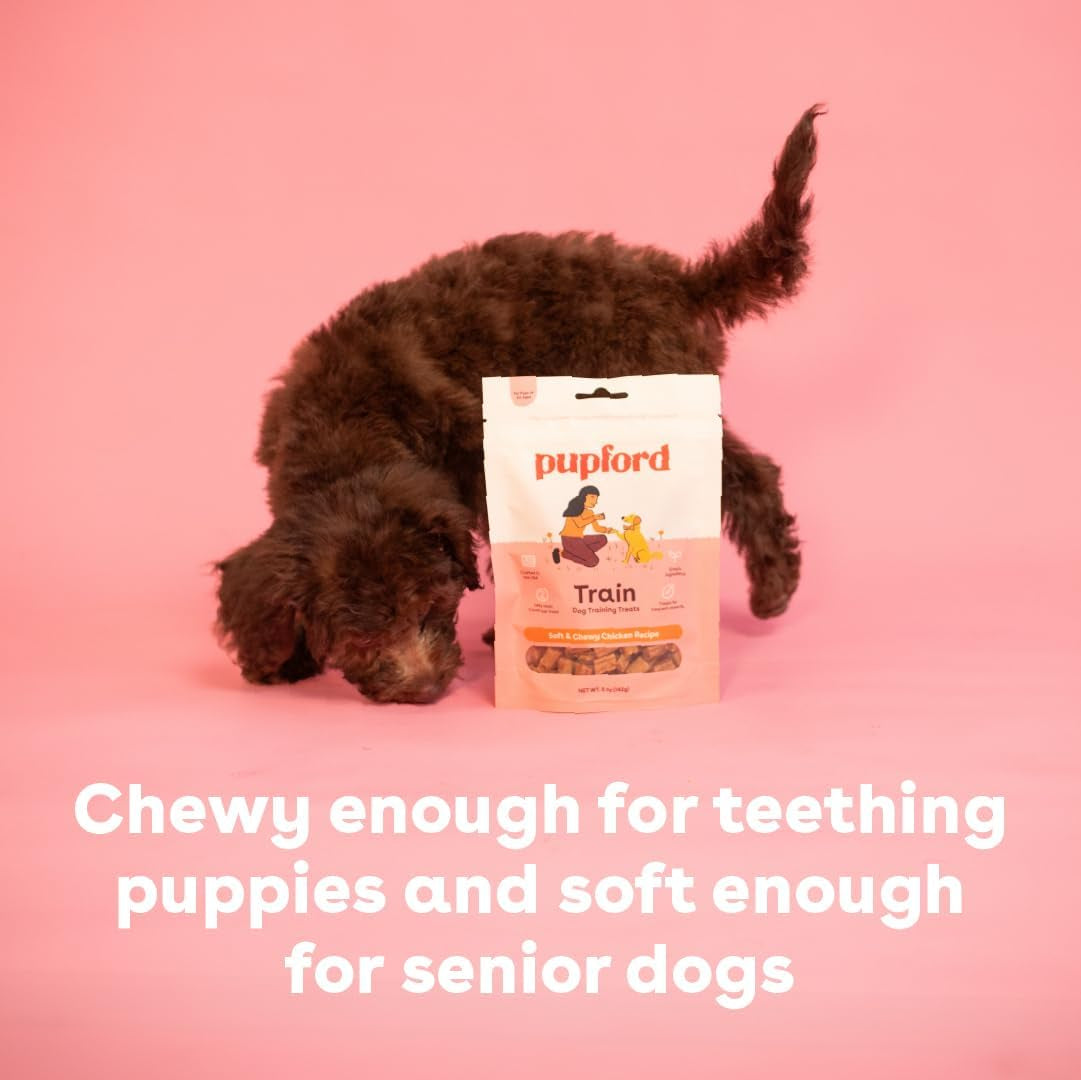 Soft & Chewy Training Treats for Dogs & Puppies (Chicken, 5 Oz)