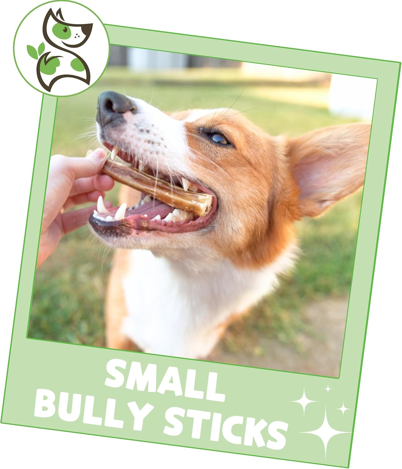Small Bully Sticks for Dogs 5-6" (15 Count) - Long Lasting for Light Chewers and Puppies - Natural Thin Beef Dog Chew Bones - Rawhide Free