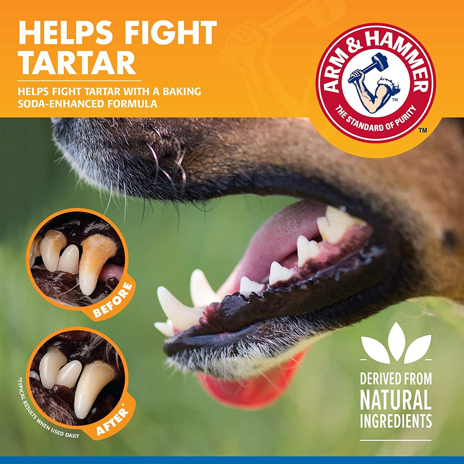 Dog Water Additive for Dental Care - Bad Breath Eliminator for Dogs & Dog Breath Freshener - Dog Tooth Plaque Cleaner & Dog Tartar Remover - 16 Fl Oz Dental Rinse for Dogs - Package of 1
