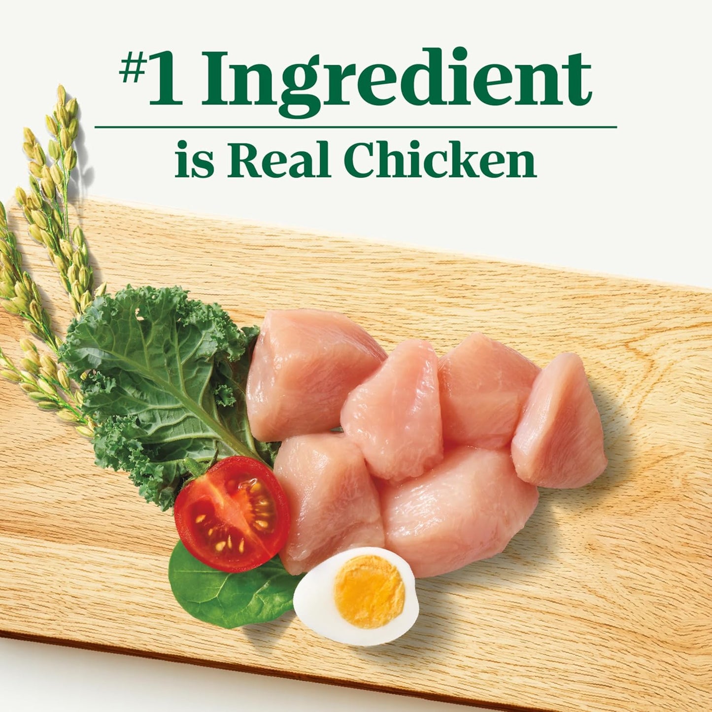 Natural Choice Chicken & Brown Rice Adult Small Bites Dog Food Recipe, 13 Lb. Bag