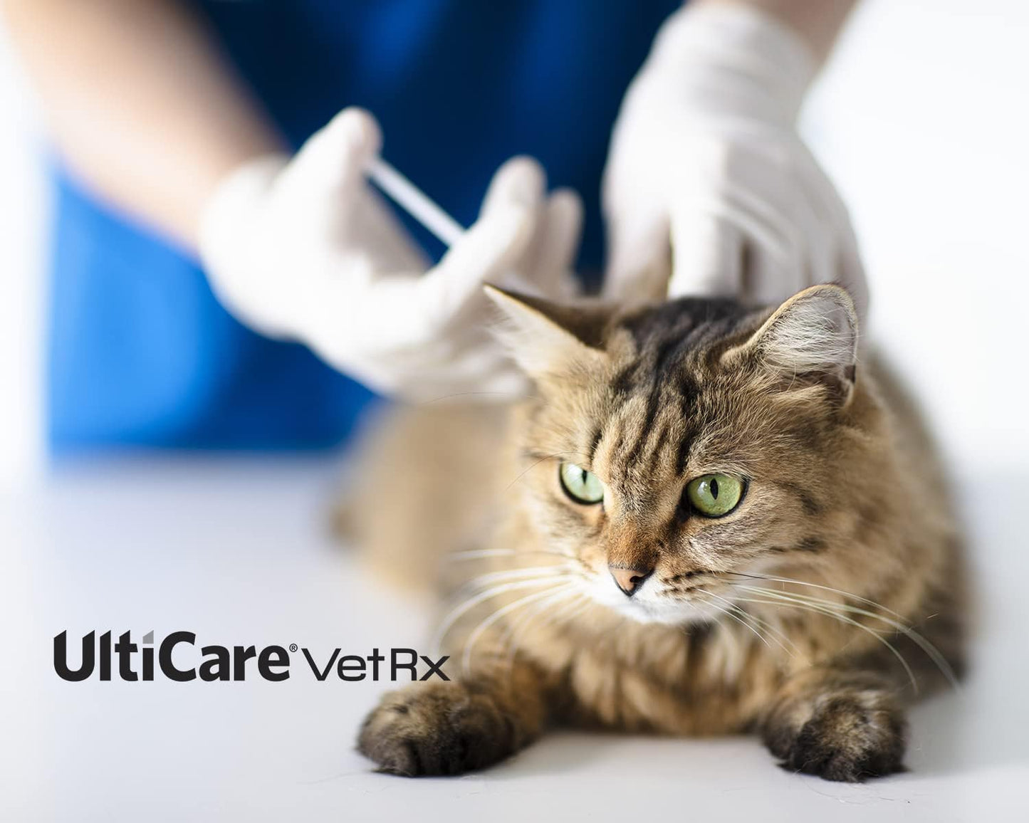 Vetrx U-40 3/10Cc Pet Insulin Syringes - 3/10Cc, 29G X 1/2’’, HALF UNIT Markings, 100 Ct, Comfortable and Accurate Dosing, Compatible with Any U-40 Strength Insulin