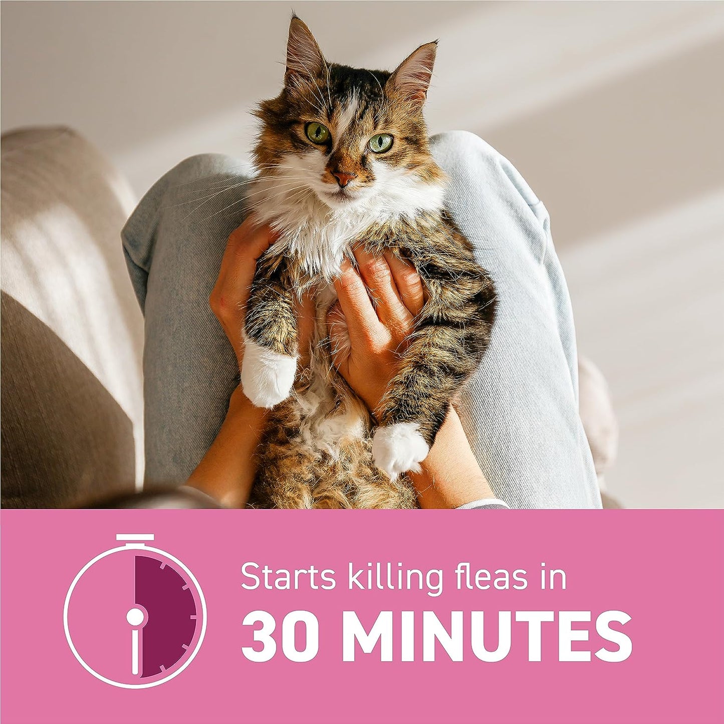 (Nitenpyram) Oral Flea Treatment for Cats, Fast Acting Tablets Start Killing Fleas in 30 Minutes, Cats 2-25 Lbs, 6 Doses
